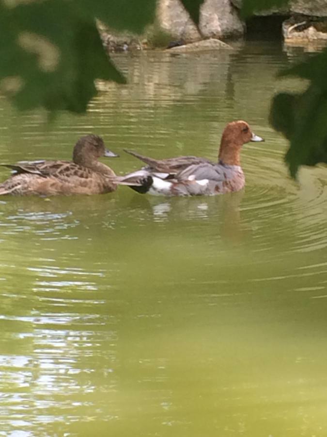 Cordieux La Mare Aux Canards المظهر الخارجي الصورة